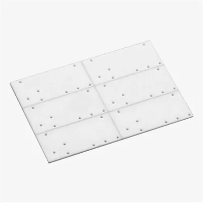 الركيزة السيراميك الملبدة